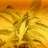 kevtraill@googlemail.com