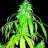Efer718