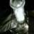 cshock441