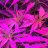 GreenThumb1990