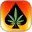 reefer smoke