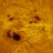 Sunspot
