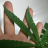 Buds4Fun