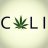 Cali Cropper
