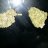 Kushrection