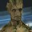 SourGroot