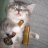 HighCat87