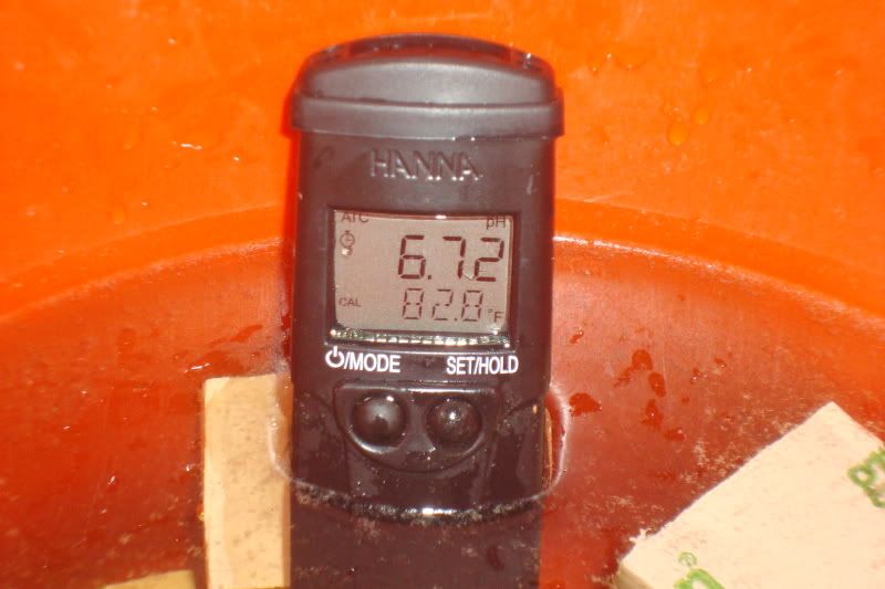 DSC03332.jpg