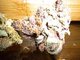 th_Ruizandthepuppy010.jpg