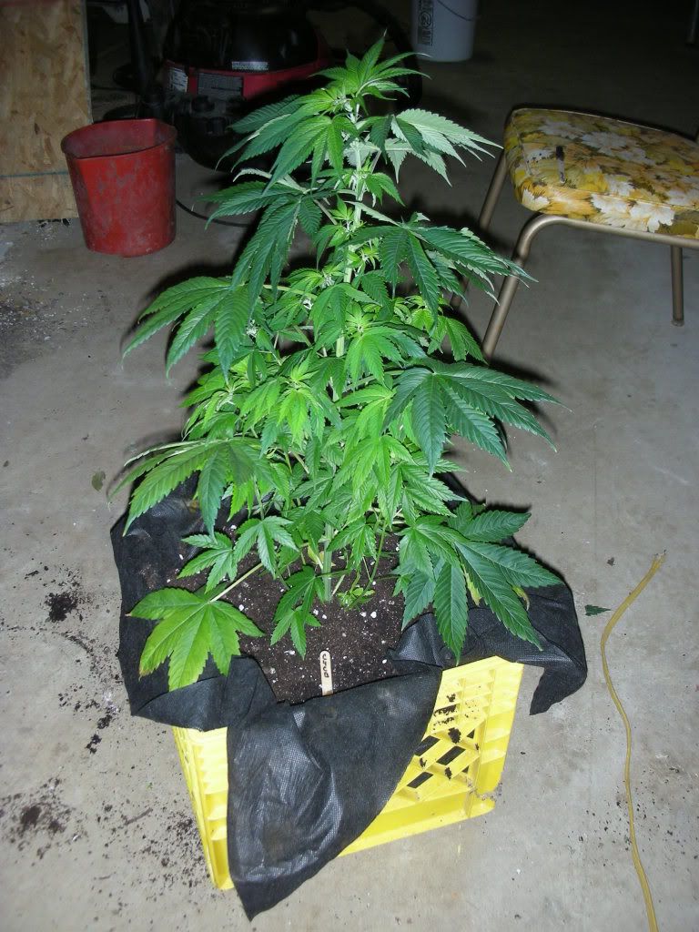 DSCN3333.jpg