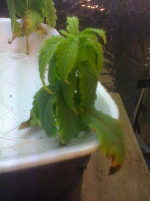 Apr11_0006.jpg