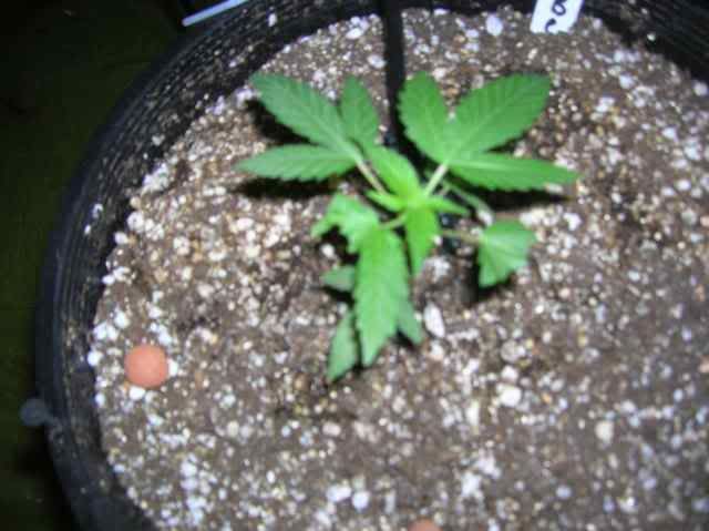 DSCN1052.jpg