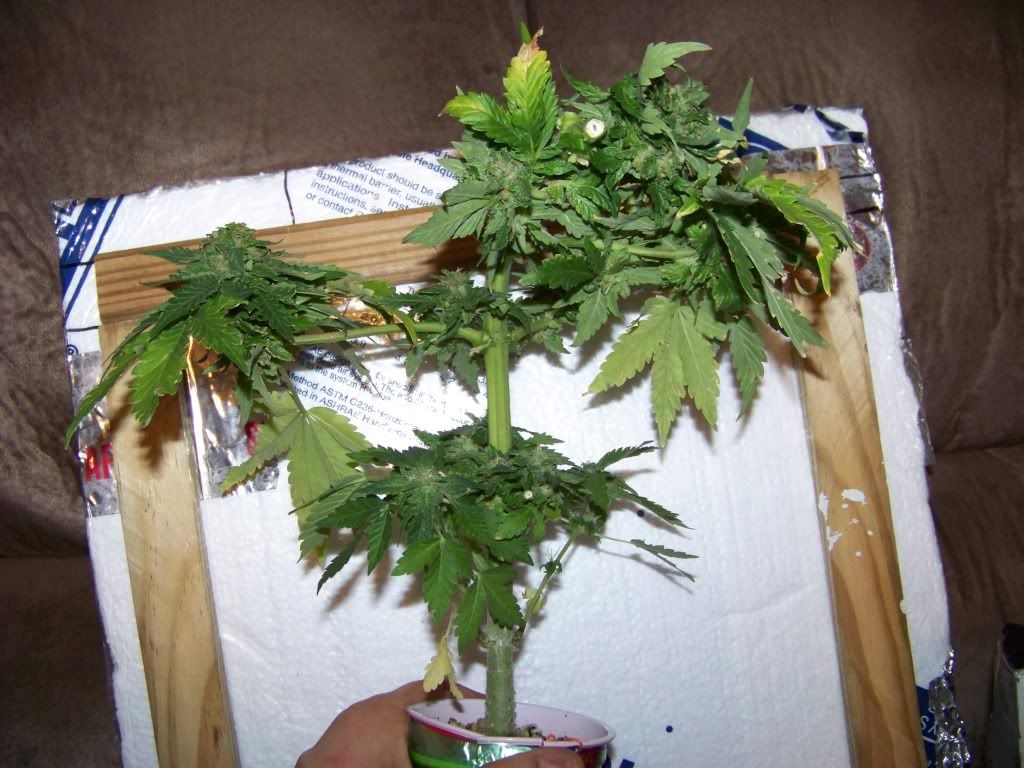 100_5505.jpg