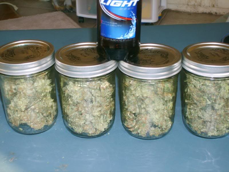 5daysdrying008.jpg