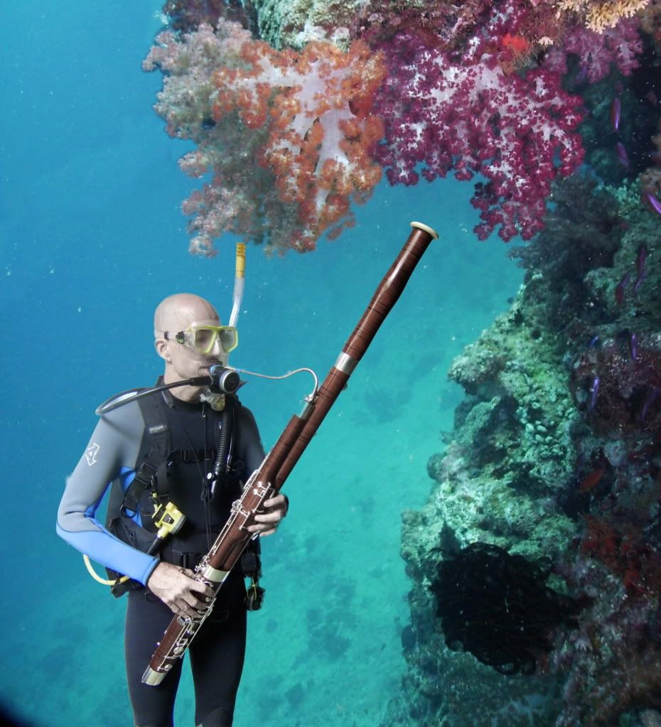 markunderwaterbassoonistws.jpg