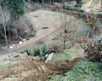 gifs_04.gif