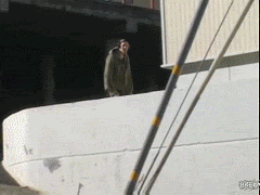 6f1evl.gif