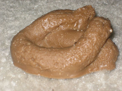 dog-poop-1.jpg