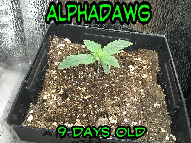 1332114124-picsay.jpg