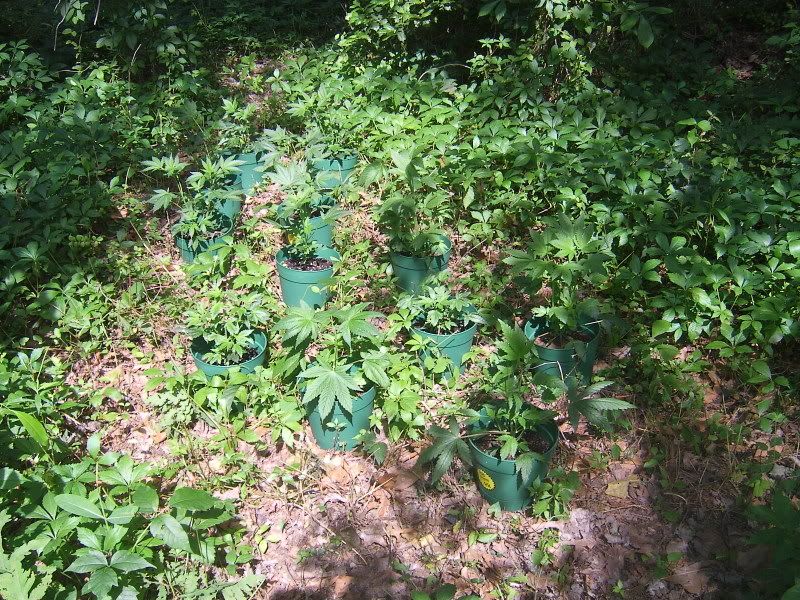 DCAM0036.jpg