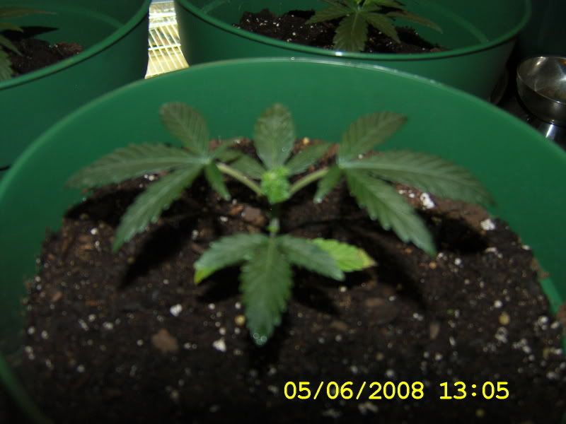 DCAM0161.jpg