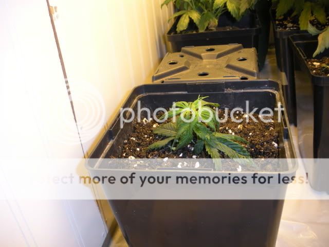 DSCN0611.jpg