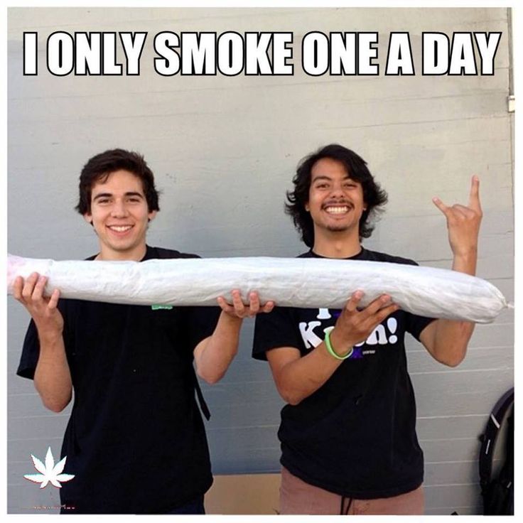 8992e9784b9c661db8b0bce95cd4cffb--high-times-stoner.jpg
