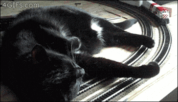 200.gif
