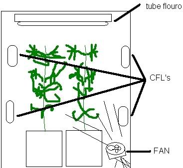 growbox.jpg