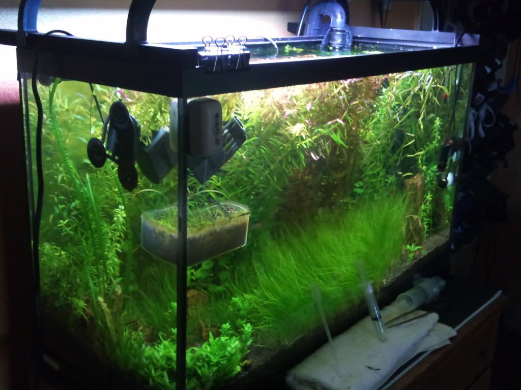 2011-06-06135154.jpg