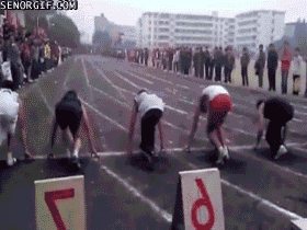 gifs_01.gif