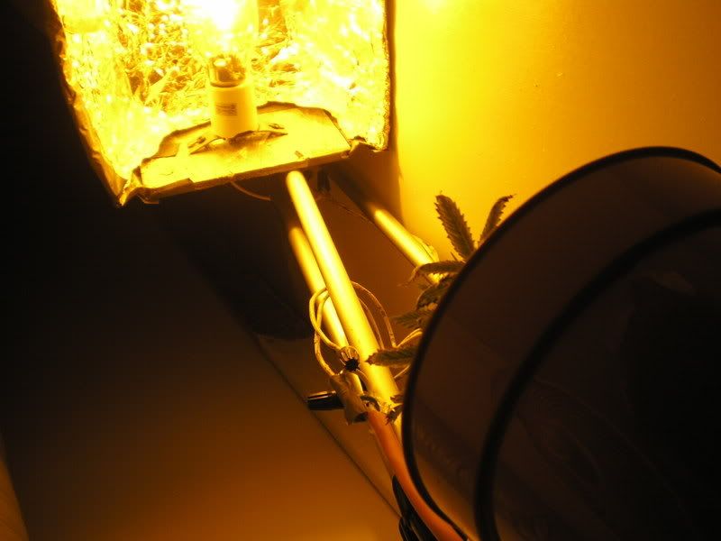 P1010358-1.jpg