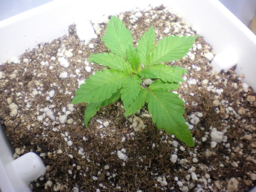 10-17-11005.jpg