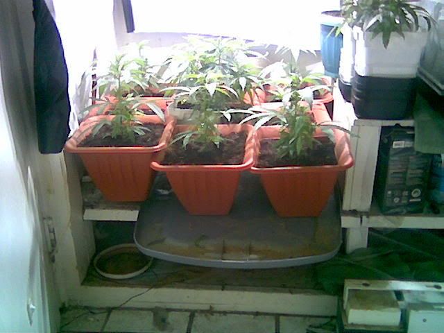 Image0042.jpg