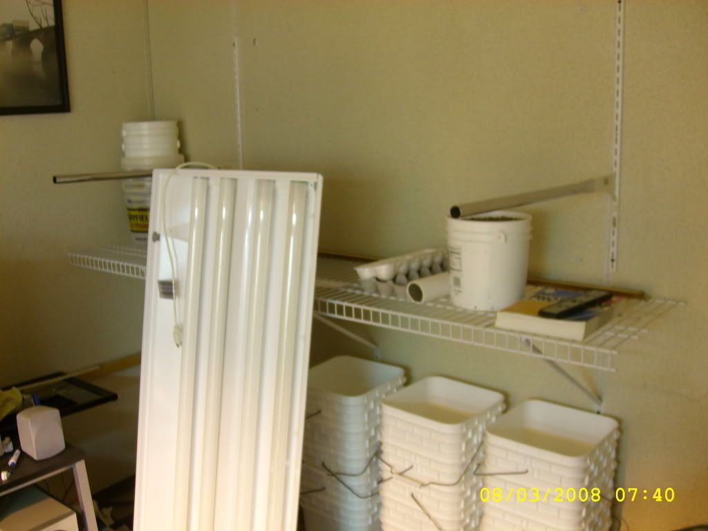 STP61639.jpg