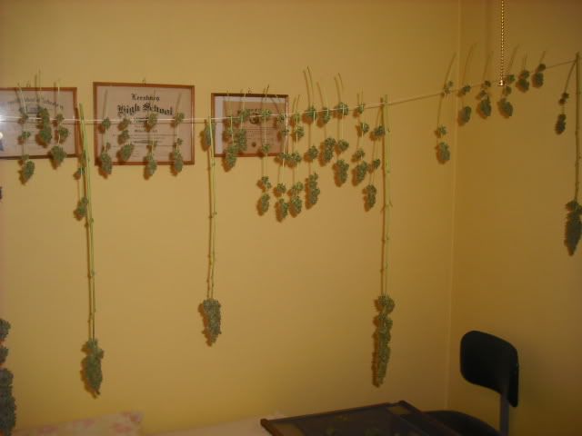 DSCF0303.jpg