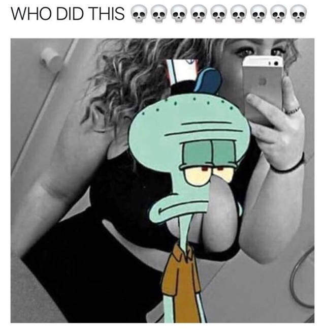 85303731.jpg