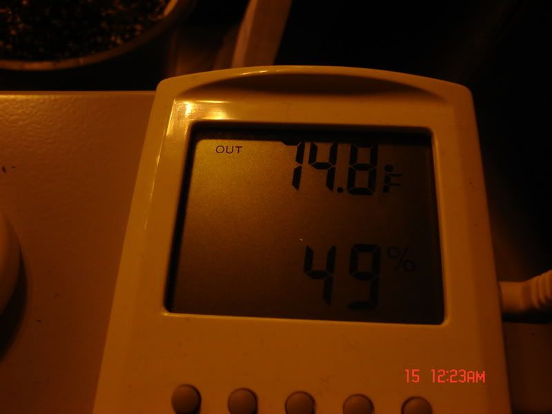 Picture020.jpg