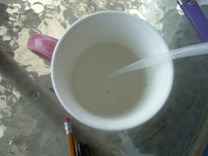 013-1.jpg