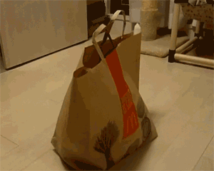 tumblr_mgykmgVcTR1s11cz1o1_400.gif