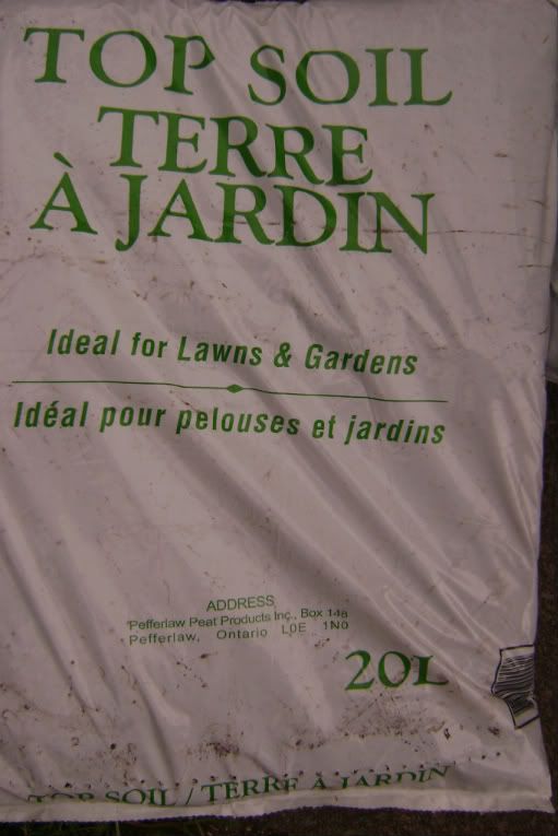 DSC03442.jpg