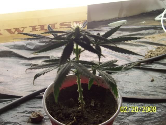 100_5659.jpg