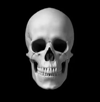 94dfc5f19cfd22a07c59091c95dff2ec.gif