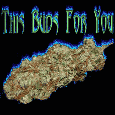 This-Buds-For-You-2.gif