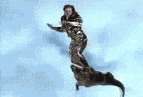1222066747418.gif