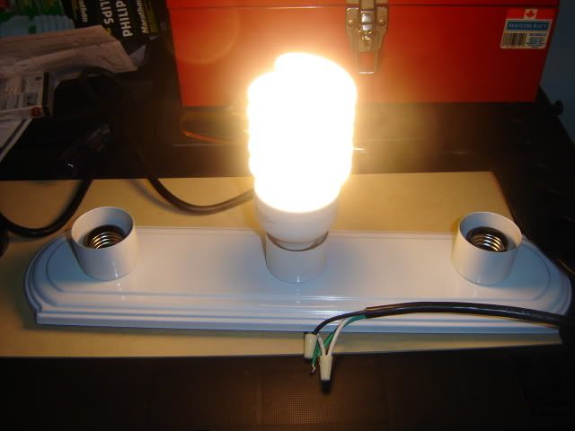 DSC08453.jpg