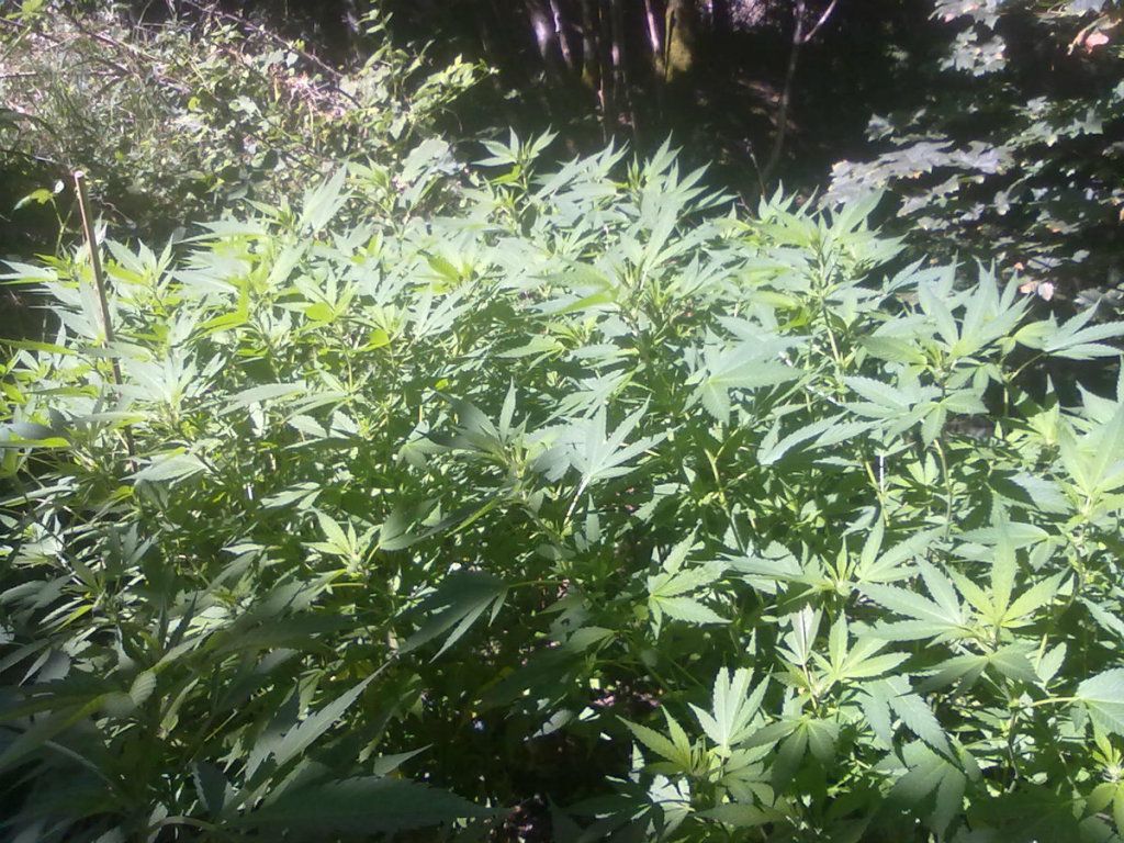 8-25-20123.jpg