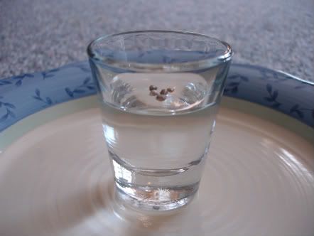 shotseeds.jpg