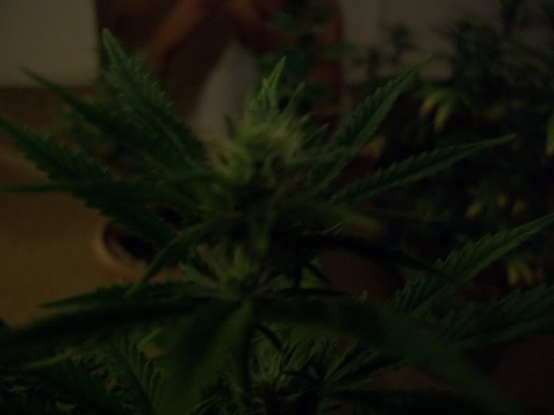 100_0886.jpg