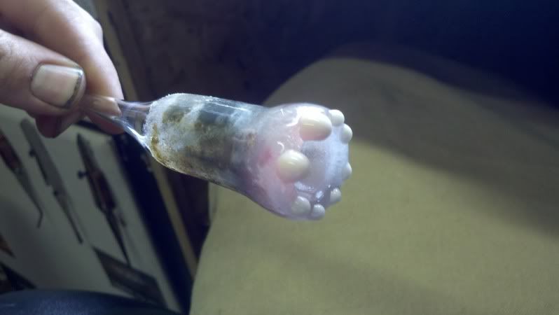 2011-07-27_14-07-19_356.jpg